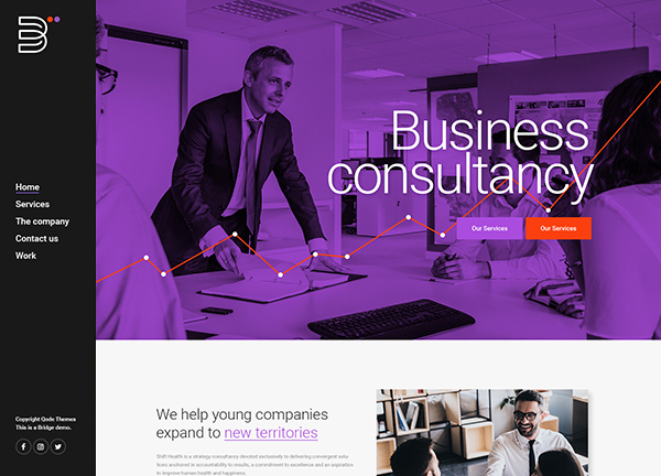 Business Consulting Bridge Theme Demo