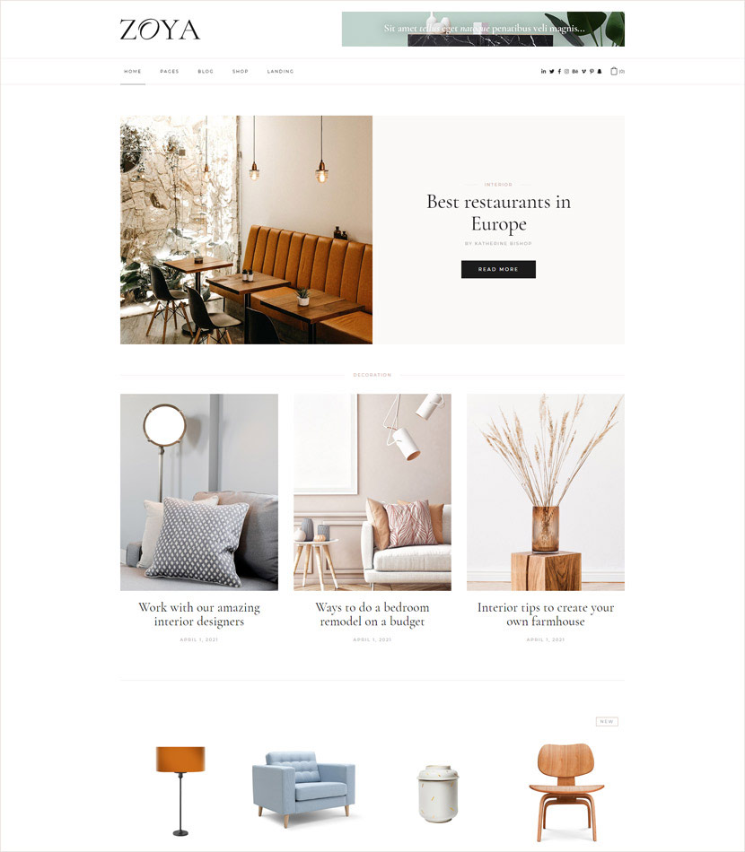 Zoya WordPress Theme