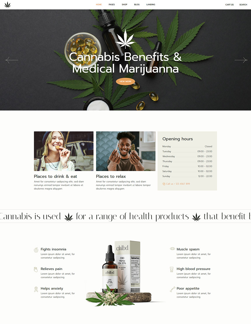 ChillBud WordPress Theme